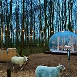 Bubbeltent In Bos Met Hottub, 20m Amsterdam Zuidoostbeemster