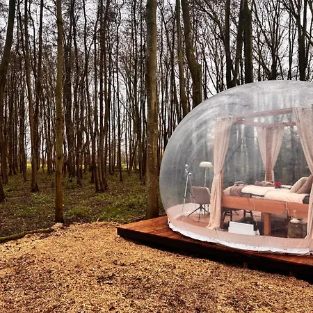 Bubbeltent In Bos Met Hottub, 20m Amsterdam Glamping Zuidoostbeemster