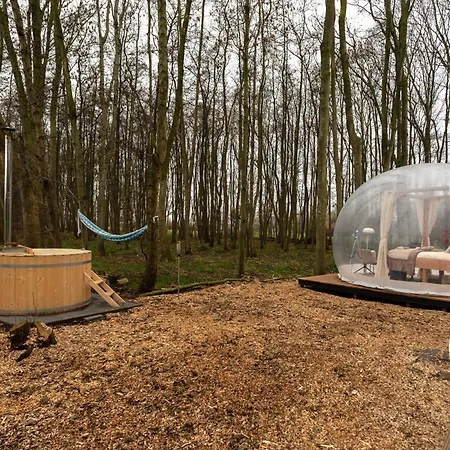 Bubbeltent In Bos Met Hottub, 20m Amsterdam * Zuidoostbeemster