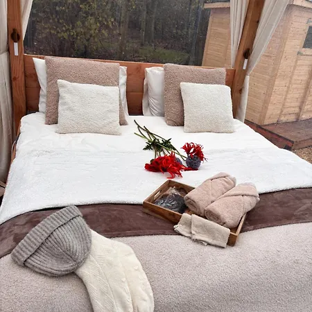 Bubbeltent In Bos Met Hottub, 20m Amsterdam Glamping Zuidoostbeemster