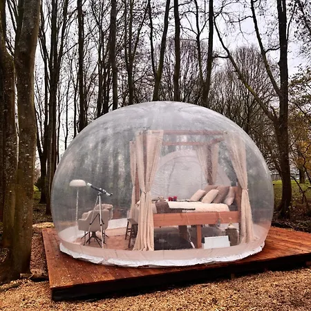 Bubbeltent In Bos Met Hottub, 20m Amsterdam Glamping