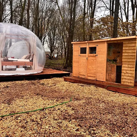 Glamping Bubbeltent In Bos Met Hottub, 20m Amsterdam *