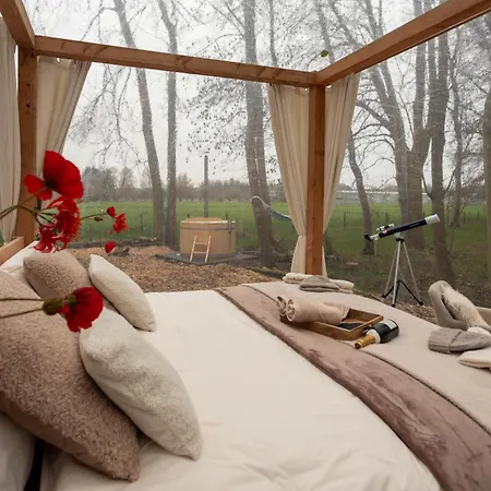 Bubbeltent In Bos Met Hottub, 20m Amsterdam