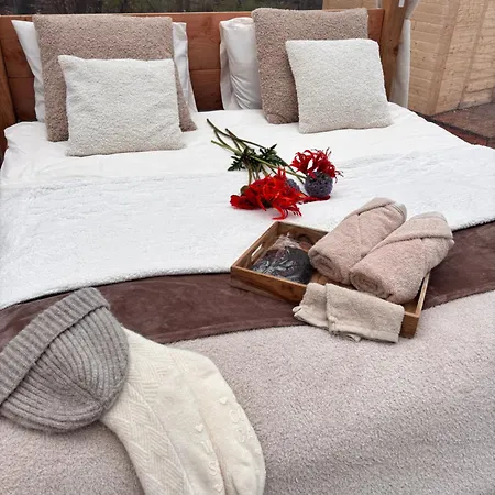 Bubbeltent In Bos Met Hottub, 20m Amsterdam Glamping