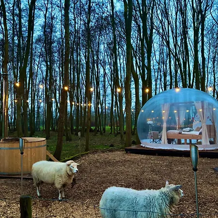 Bubbeltent In Bos Met Hottub, 20m Amsterdam Zuidoostbeemster