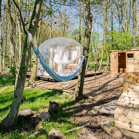 ラグジュアリーテント Bubbeltent In Bos Met Hottub, 20m Amsterdam *