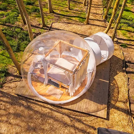 ラグジュアリーテント Bubbeltent In Bos Met Hottub, 20m Amsterdam