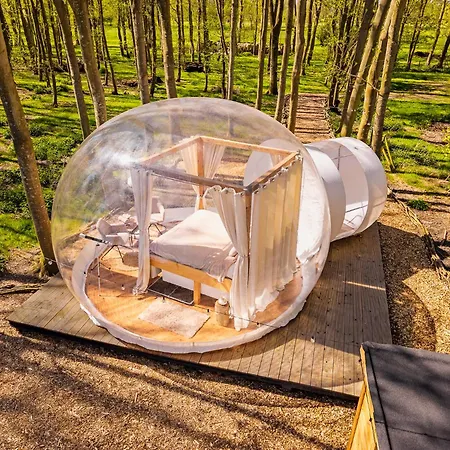 ラグジュアリーテント Bubbeltent In Bos Met Hottub, 20m Amsterdam
