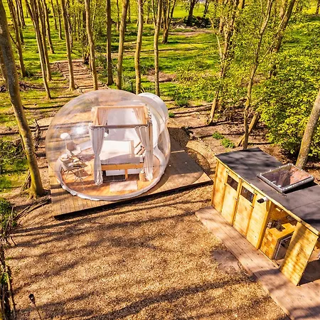 Bubbeltent In Bos Met Hottub, 20m Amsterdam ラグジュアリーテント