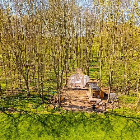 Bubbeltent In Bos Met Hottub, 20m Amsterdam ラグジュアリーテント Zuidoostbeemster