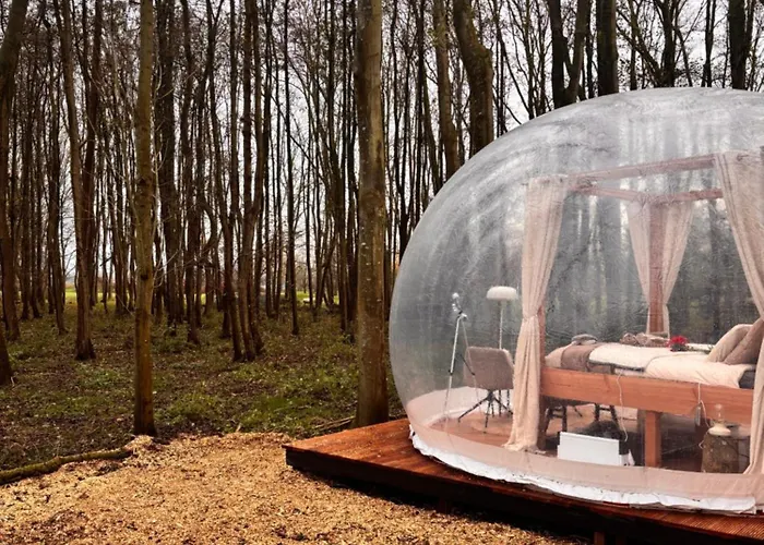 Bubbeltent In Bos Met Hottub, 20m Amsterdam Luksustelt Zuidoostbeemster