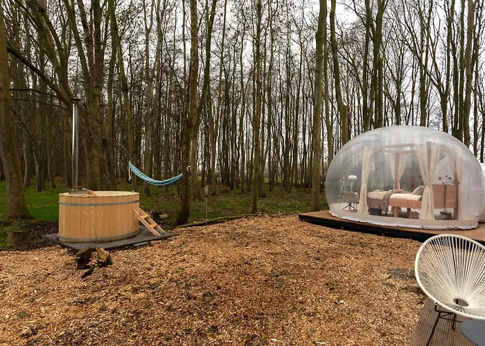 Bubbeltent In Bos Met Hottub, 20m Amsterdam * Zuidoostbeemster