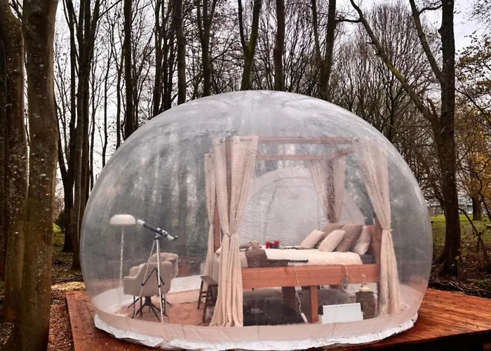 Bubbeltent In Bos Met Hottub, 20m Amsterdam Luksustelt