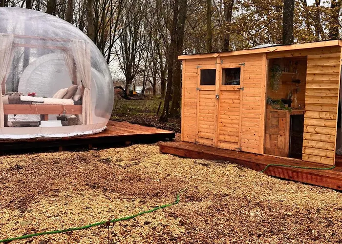 Luksustelt Bubbeltent In Bos Met Hottub, 20m Amsterdam *