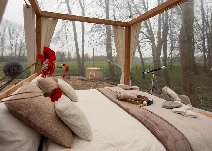 Bubbeltent In Bos Met Hottub, 20m Amsterdam