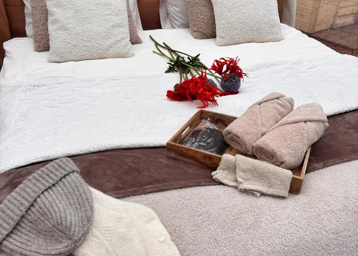 Bubbeltent In Bos Met Hottub, 20m Amsterdam Luksustelt