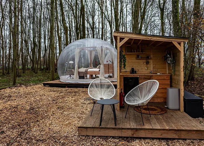 Luksustelt Bubbeltent In Bos Met Hottub, 20m Amsterdam *