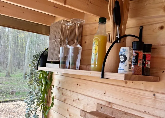 Bubbeltent In Bos Met Hottub, 20m Amsterdam Luksustelt