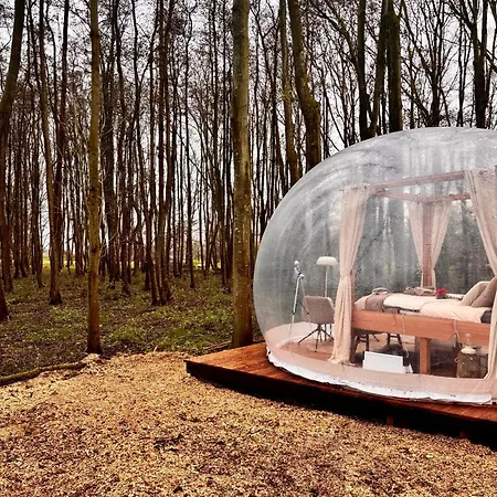 Bubbeltent In Bos Met Hottub, 20m Amsterdam 럭셔리텐트
