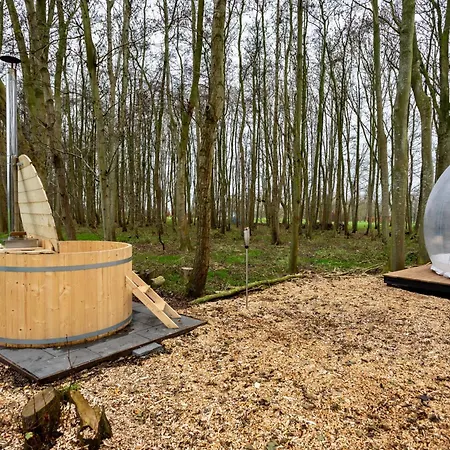 Bubbeltent In Bos Met Hottub, 20m Amsterdam *