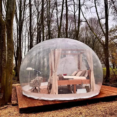 럭셔리텐트 Bubbeltent In Bos Met Hottub, 20m Amsterdam 쥐두스빔스터